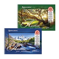 альбом для рисования 40листов А4 BRAUBERG (БРАУБЕРГ) Природа 1/20 102832 Мин.заказ=5