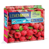 губка для посуды LEMON MOON 10шт Малина крупнопористые 96*64*33 1/6